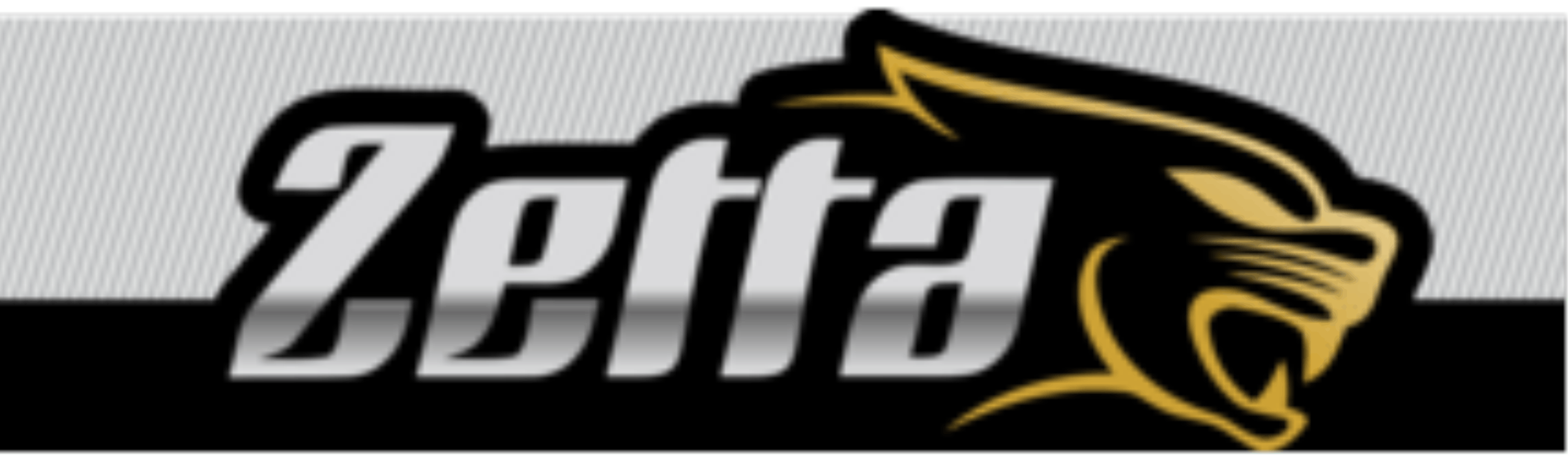 Logo Zetta